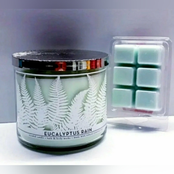 EUCALYPTUS RAIN -Bath & Body Works Candle Wax Melts- $8 per pack - Picture 7 of 9